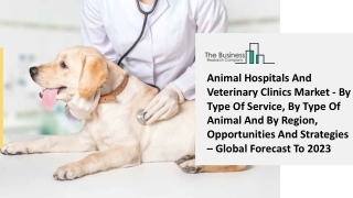 Global Animal Hospitals And Veterinary Clinics Market Opportunities And Strategies To 2023