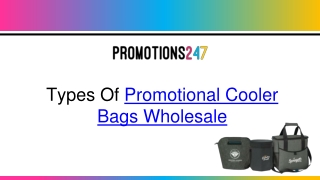 Types Of Promotional Cooler Bags Wholesale