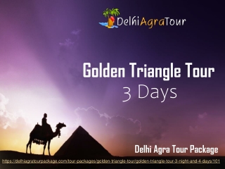 3 Days Golden Triangle Tour