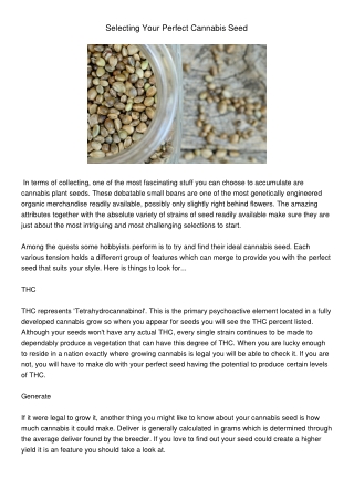 SelectingYourPerfectCannabisSeed