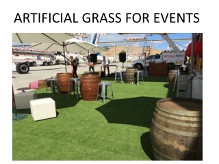 Artificial Grass For Events in Dubai