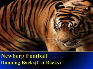 Newberg Football Running Backs(Cat Backs)