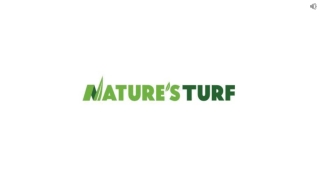 Nature’s Turf – Best Lawn Treatment Services In Fayetteville GA