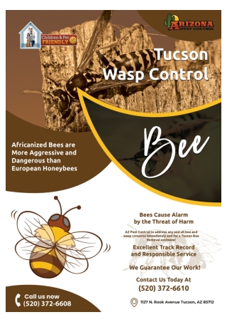 Termite Control Tucson | Bee Removal Tucson