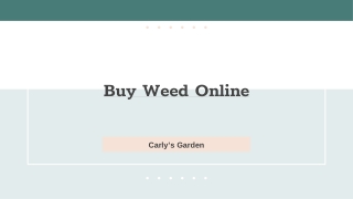 Buy Weed Online - Carly’s Garden