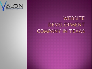 Website Development Company In Texas