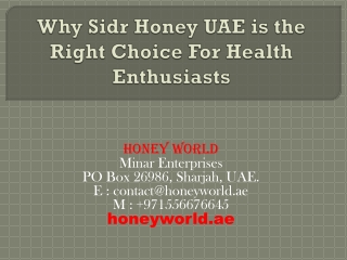 Why Sidr Honey UAE is the Right Choice For Health Enthusiasts