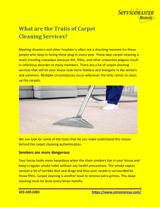 What are the Traits of Carpet Cleaning Services?