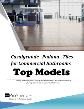 Casalgrande Padana Tiles for Commercial Bathrooms Top Models