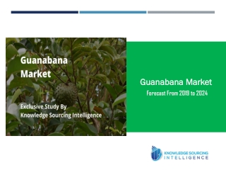 Exclusive Study on Guanabana Market