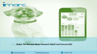 Pet Wearable Market Report: Industry Outlook, Latest Development and Trends