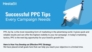 Successful PPC Tips Every Campaign Needs