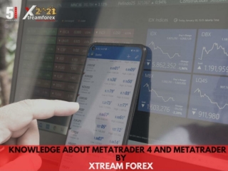 Knowledge about MetaTrader 4 and MetaTrader 5 by Xtream Forex