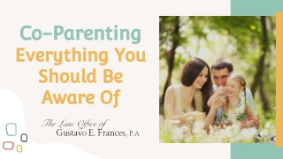 Co-Parenting - Everything You Should Be Aware Of