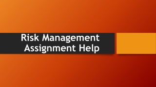 Risk Management Assignment Help