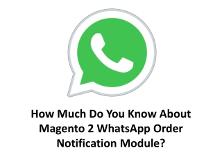 How Much Do You Know About Magento 2 WhatsApp Order Notification Module?