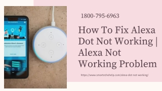 Alexa Dot Not Working 1-8007956963 Instant Alexa App Helpline