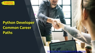 Python Developer Common Career Paths