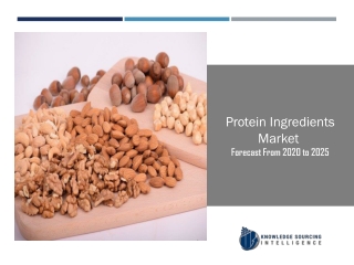 Protein Ingredients Market to be Worth US$64.584 billion by the year 2025