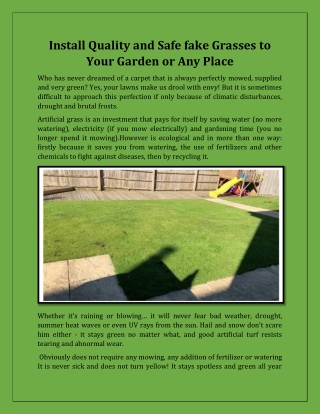 Install Quality and Safe fake Grasses to Your Garden or Any Place