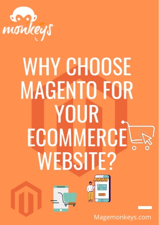 Why Choose Magento for your eCommerce Website?