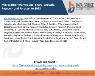 Microcarrier Market Size, Share, Growth, Research and Forecast to 2028