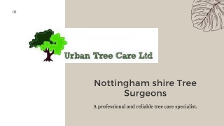Nottinghamshire Tree Surgeons