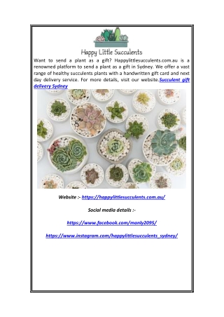 Succulent Gift Delivery Sydney | Happylittlesucculents.com.au