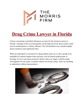 Drug Crime Lawyer in Florida