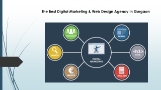 The Best Digital Marketing & Web Design Agency In Gurgaon