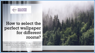 Choose Right Colors for Indoor Wallpaper Singapore
