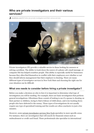 Who are private investigators and their various services?