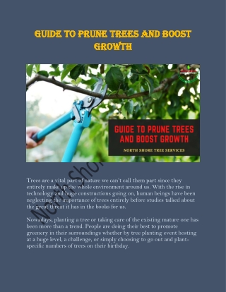 Guide to Prune Trees and Boost Growth