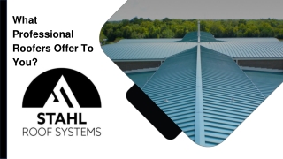 What Professional Roofers Offer To You?