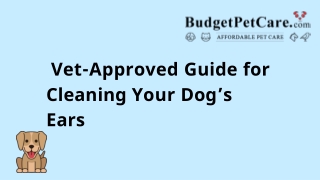 Vet-Approved Guide for Cleaning Your Dog’s Ears