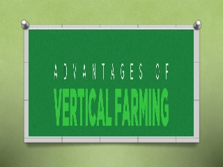 Advantages of Vertical Farming