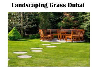 Landscaping Grass
