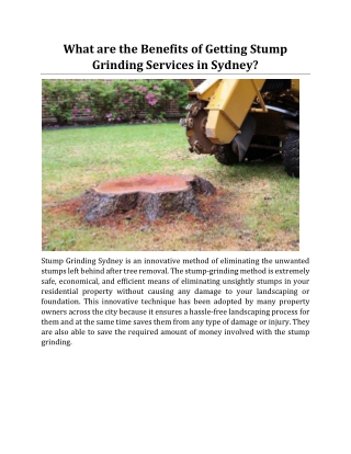 What are the Benefits of Getting Stump Grinding Services in Sydney?