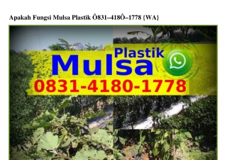 Apakah Fungsi Mulsa Plastik 0831~4180~1778[WhatsApp]