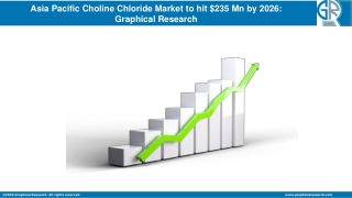 Asia Pacific Choline Chloride Market to hit $235 Mn by 2026