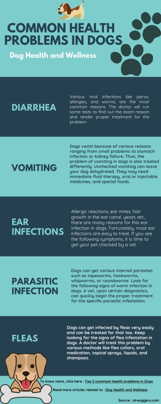 Top 5 Most Common Health Problems In Dogs