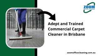 Adept and Trained Commercial Carpet Cleaner in Brisbane