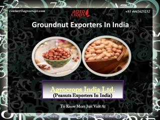 Top Groundnut Exporters In India