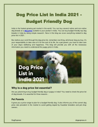 Dog Price List in India 2021 – Budget Friendly Dog