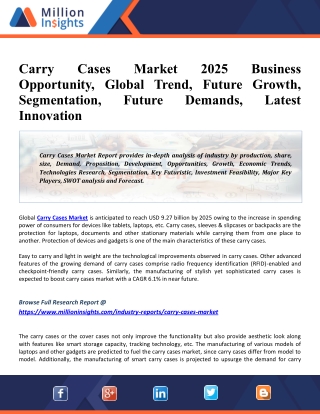 Carry Cases Market 2025 Global Industry Research Update, Future Scope and Size Estimation