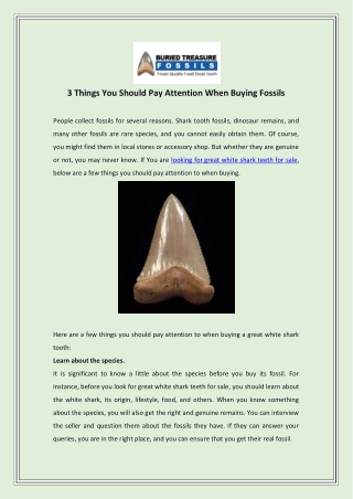 3 Things You Should Pay Attention When Buying Fossils