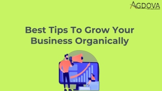 Best Tips To Grow Your Business Organically