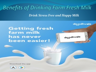 Top Benefits of Drinking Farm Fresh Milk