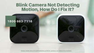 Blink Camera Not Detecting Motion? 1-8009837116 Blink Camera App Help