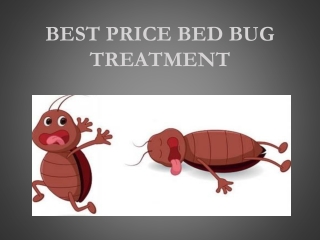 100% eradication of bed bug infection with our exterminator